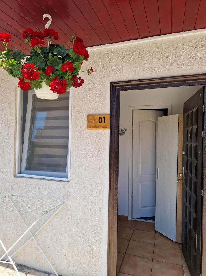 Pagini Din Vama Apartamento Vama Veche Exterior foto
